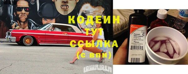 прущие крисы Абаза