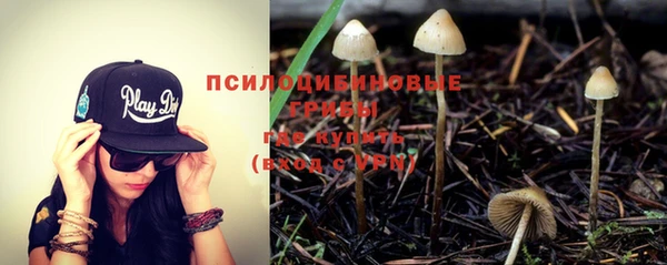 прущие крисы Абаза