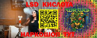 прущие грибы Можайск