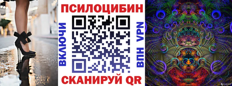 как найти закладки  Электросталь  Галлюциногенные грибы MAGIC MUSHROOMS 